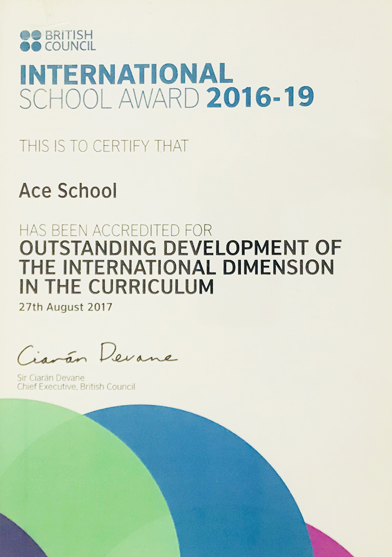 Outstanding Development of the International Dimension in the Curriculum 2016 -19